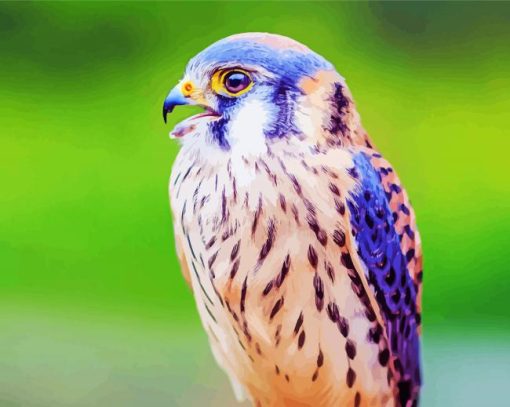 Beautiful Kestrel Bird Diamond Paintings