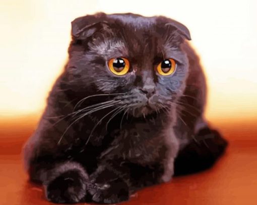 Black Fold Ear Cat Diamond Paintings