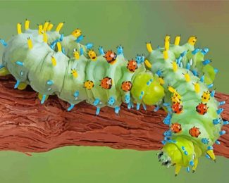 Caterpillar Insect Diamond Paintings