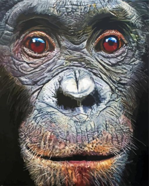 Close Up Bonobo Face Diamond Paintings