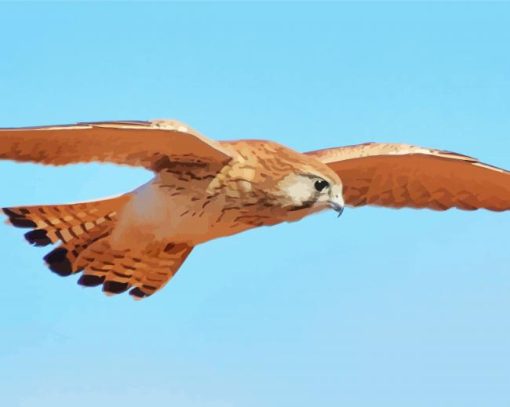 Flying Kestrel Bird Diamond Paintings