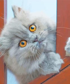 Grey Persian Cat Diamond Paintings