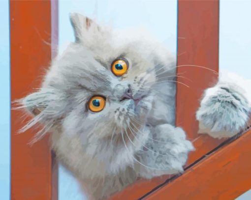 Grey Persian Cat Diamond Paintings