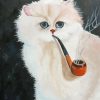 Smoking Cat Animal Diamond Paintings