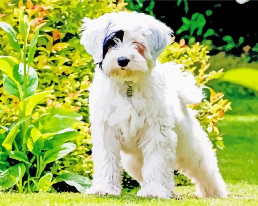 White Tibetan Terrier In Garden Diamond Paintings