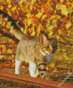 Cat And Leaves Diamond Paintings