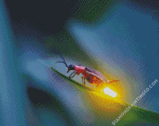 Firefly Light Diamond Paintings