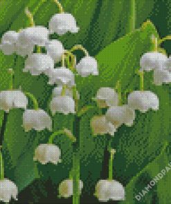 Lilly Of The Valleys Flowers Diamond Paintings