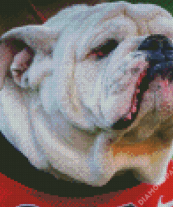 Aesthetic Georgia Bulldogs Diamond Paintings