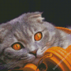 Aesthetic Cat Listening Diamond Paintings
