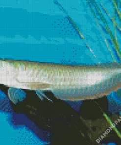 The Arowana Fish Diamond Paintings