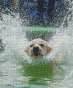 Dog In Water Diamond Paintings