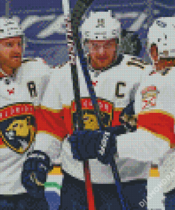 Florida Panthers Ice Hockey Players Diamond Paintings
