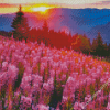 Pink Flowering Landscape Diamond Paintings