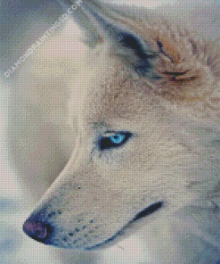 White Wolve Side With Blue Eyes Diamond Paintings