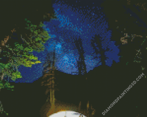 Forest Camping Scenes Diamond Paintings