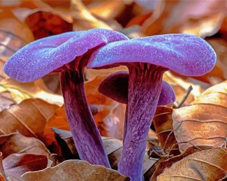 Aesthetic Purple Mushroom Diamond Paintings