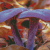 Aesthetic Purple Mushroom Diamond Paintings