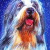 Bearded Collie Dog Art Diamond Paintings