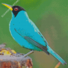 Blue Swallow Diamond Paintings