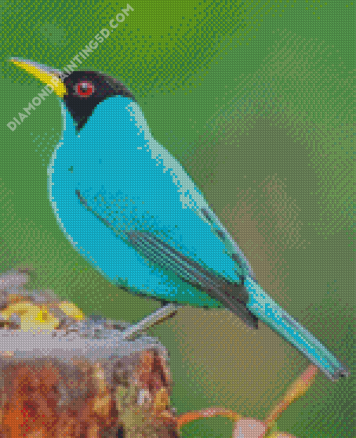 Blue Swallow Diamond Paintings