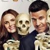 Booth And Brennan Bones Drama Serie Diamond Paintings