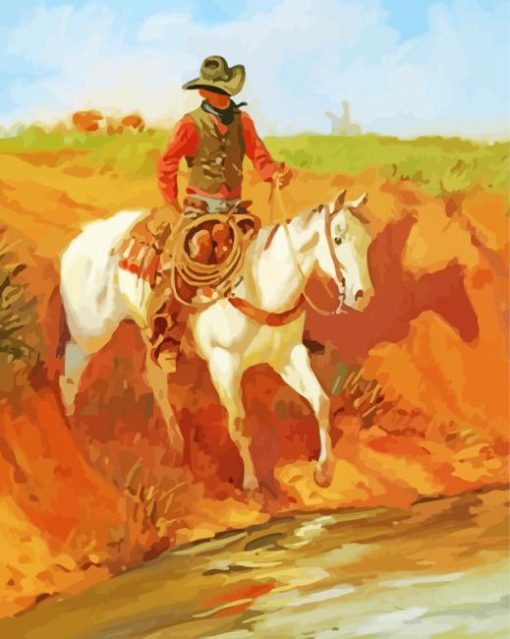 Cowboy In Arizona Art Diamond Paintings