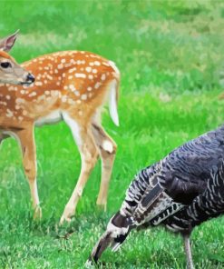 Deer And Turkey Bird Diamond Paintings