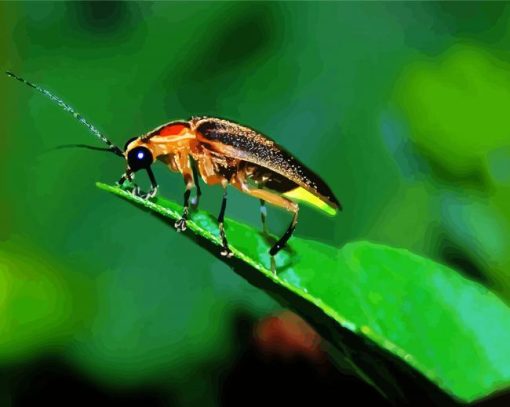 Firefly Insect Diamond Paintings