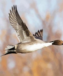 Flying Northern Pintail Diamond Paintings