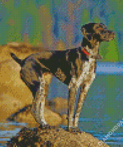 Germain Shorthaired Pointer Dog Diamond Paintings