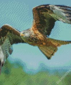 Flying Red Kite Bird Diamond Paintings