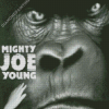 Black And White Mighty Joe Young Poster Diamond Paintings