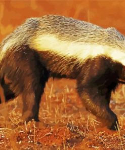 Honey Badger Animal Diamond Paintings