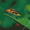 Firefly Insect Diamond Paintings