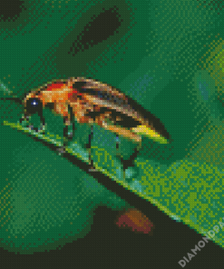 Firefly Insect Diamond Paintings