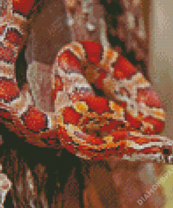 Okeetee Corn Snake Diamond Paintings