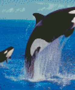 Orcas Diamond Paintings