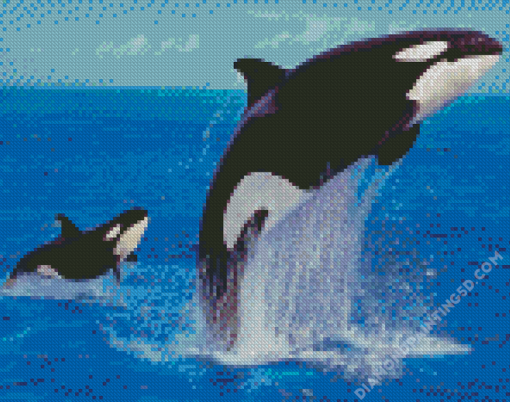 Orcas Diamond Paintings