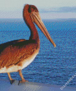 Pelican Bird Diamond Paintings