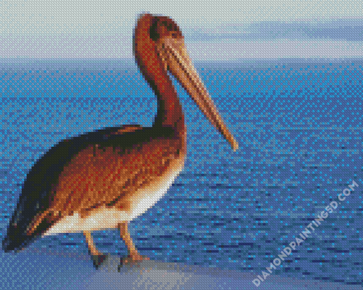 Pelican Bird Diamond Paintings