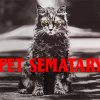 Pet Semetary Poster Diamond Paintings