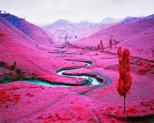 Pink Landscape Diamond Paintings