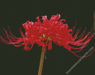 Red Spider Lily Flower Diamond Paintings