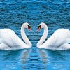 Romantic Swans Birds In Water Diamond Paintings
