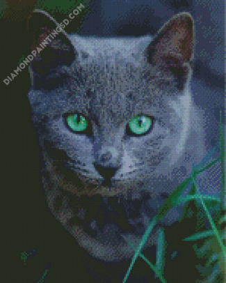 Russian Blue Cat Pet Diamond Paintings