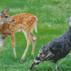 Deer And Turkey Bird Diamond Paintings