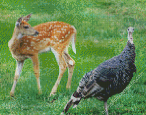 Deer And Turkey Bird Diamond Paintings