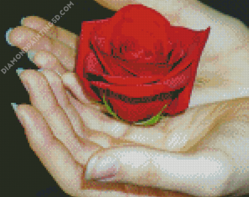 Giving A Rose On Hand Diamond Paintings