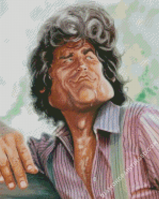 Michael Landon Charicature Diamond Paintings